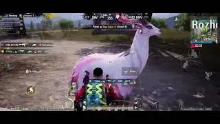Mythical Creature Deer #pubg #pubgmobile #fypyoutube #contentcreator #happy 