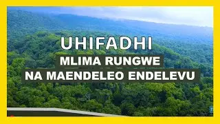 #TBC: KIPINDI CHA TANZANIA KIJANI | UHIFADHI MLIMA RUNGWE NA MAENDELEO ENDELEVU
