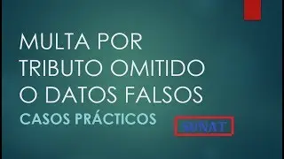 Como calcular la multa por datos falsos - Sunat