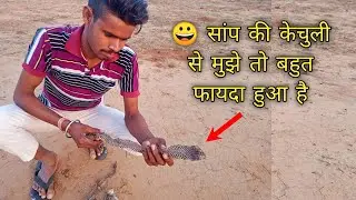 🐍सांप की केंचुली से क्या फायदा होता है,  What is the benefit of snake's skin