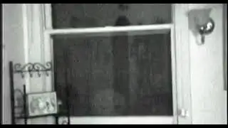 👽petit gris derri&egrave;re la vitre👽