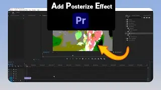 How to Add Posterize Effect on Premiere Pro [NEW]