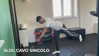 Sldl cavo singolo
