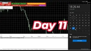 Forex Robo Trading Software 2025 | Best Forex Robot for Auto Trading | Forex Algo Bot Explained