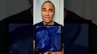 Justi&ccedil;a por Orellha