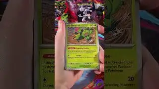 Pok&eacute;mon Cards Pack Opening (Journey Together)