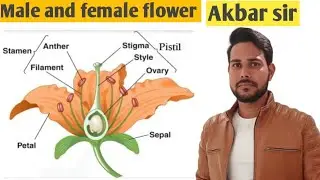  Male and female flower|| नर और मादा पुष्प