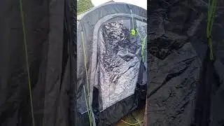 bald man gets blow dry in garden. #vanlife #camping #campervan