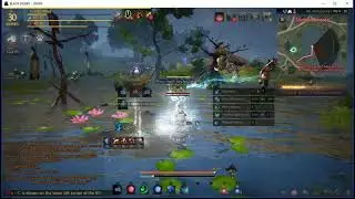 Black Desert Online - BDO - Wizard Combat