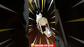 😼⚡ CAT-POWERED ELECTRICITY! - When Blackout Happens, Kitten Becomes Generator! 😹🔋