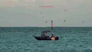 Pengalaman Mancing di sore hari