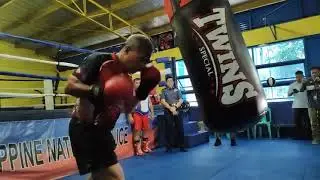 PNP chief Torre's boxing workout