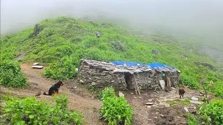 Simple The Best Nepali Mountain Village | Rainy Season | Nepali Village  life in Dolpa District |