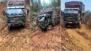 Những pha xử lý Cân Não của tài xế xe tải chở gỗ xuống dốc