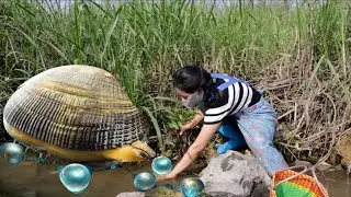 Discovering large oysters in the wild and taking decisive action to harvest beautiful pearls