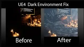 UE4 Fix for Environment rendering too dark