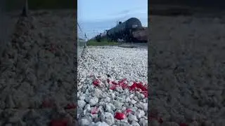 Unknown ID FEC train￼ Out of West Palm Beach yard northbound 25th St.