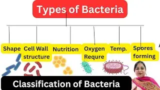 Microbiology Lecture: Types of Bacteria | Shape, Nutrition, Oxygen & Staining