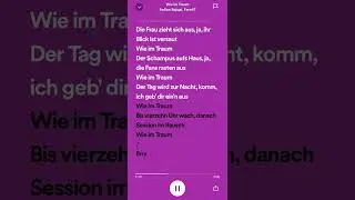 Ardian Bujupi, Fero47 - Wie im Traum (Lyrics)
