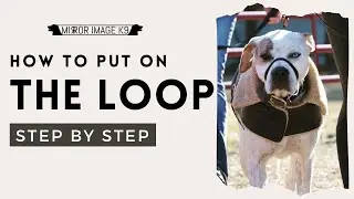 How To Turn The Slip Lead Into a Nose Loop