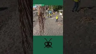 Presos salvadore&ntilde;os limpian playas y ayudan a la comunidad
