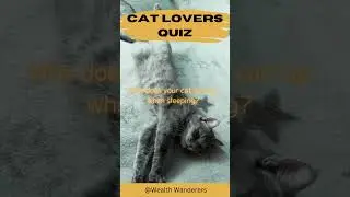 Cat Lovers Quiz 16