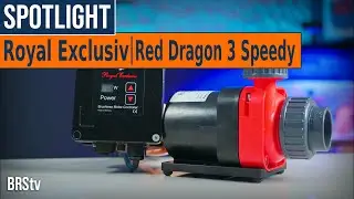 Give Your Reef Tank the Heart of a DRAGON! Royal Exclusiv Red Dragon 3 Speedy Pumps