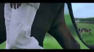 AFBL(Fram Fresh Milk) Beautyful Add please Watch You