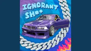 Ignorant Shit