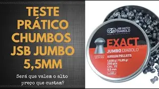 Teste Pr&aacute;tico Chumbos JSB Exact Jumbo 5,5mm