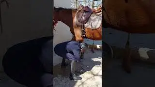 La clairi&egrave;re du Findez &agrave; Francheville 69340