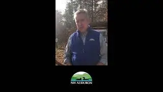 NH Audubon President Doug Bechtel Nov 17 2020