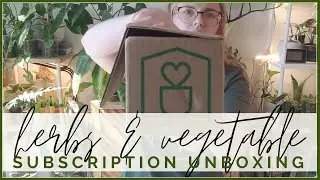 Herb & Vegetable Subscription | Houseplant Box Unboxing