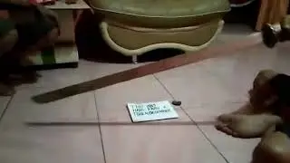 pengetesan pedang samurai shogun anti magnet 2019 / 2020