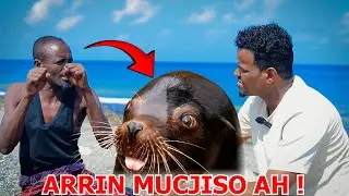 Nin 10 Sanno Ku Noolaa Badda Hoosteeda oo La Kulmay Mucjisooyin Yaab Leh. !!!