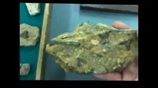 Hawkins Fossil Collection Donated to ONU Geology