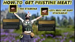 Once Human How To Get Pristine Meat! Crazy FoodBuff! Must Have Buff For PVE/PVP