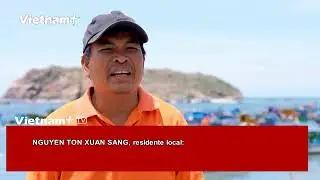 Inicia temporada de macroalgas en el mar de Nhon Hai en Binh Định