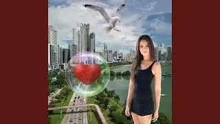 Sin Compacion