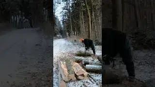 Holz spalten mit der Axt