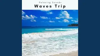 Unique Beach Noises Journey for Instant Sleep