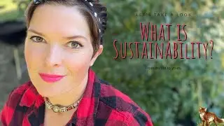 My Sustainability Philosophy and What's Happening in My Fall Garden