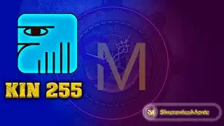Energia Do Dia Com Os Kins - Kin 255 - Como mudar de vida?