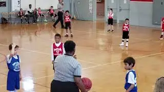 8U Basketball