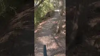 Markham trails 123 focus que te caes 🤣