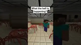 Too many 098 run away in facility. #scp #minecraft