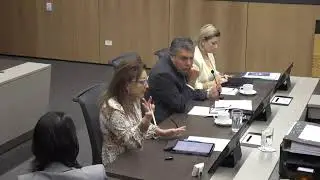 Comisión Permanente Especial de Ambiente, 14 enero 2025