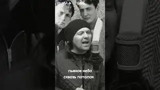 Opium - Белая чайка #synthwave #synthpop #русскаямузыка #vladivostok #music #shorts