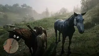 A Visit to Albert Mason &ndash; The Wildlife Photographer | RDR2