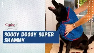 Our Groomer Explains The Soggy Doggy SUPER SHAMMY